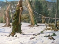 Camaldoli d'inverno 110x150 cm