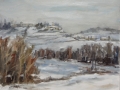 Brianza sotto la neve(2012) - olio su tavola intelata - cm. 35x45 (1)