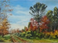autunno nei vivai di Mariano(2012) - olio su tavola intelata - cm. 54x32 (1)
