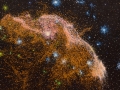 Nebulosa Medusa (80x100x4,3) 2014.jpg